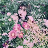小火箭加速器App用户LISA,很满意小火箭加速器App